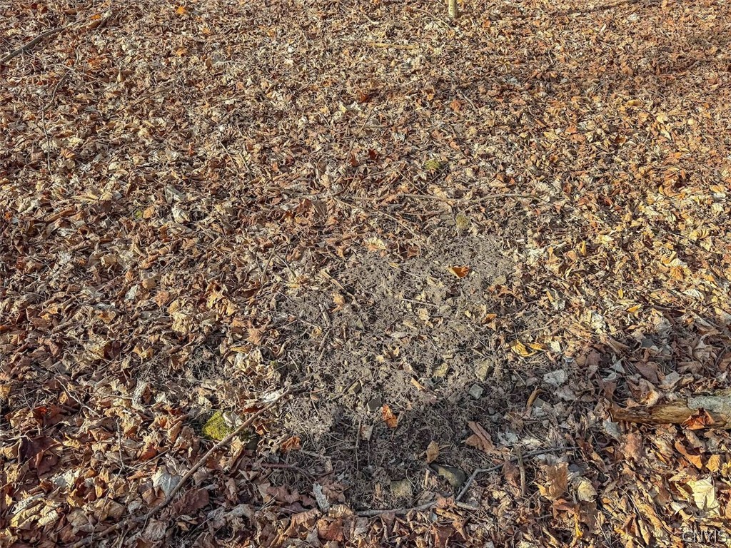 2407 Timmerman Road Jasper, NY 14839 - Photo 22 of 39