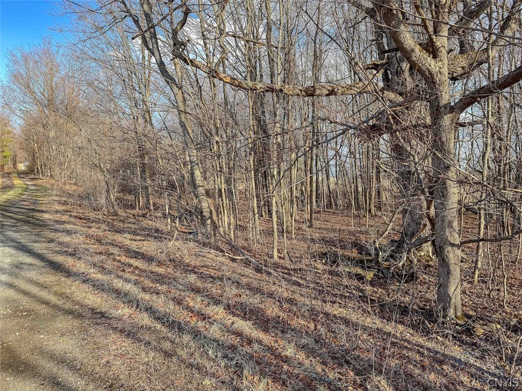 2407 Timmerman Road Jasper, NY 14839 - Photo 23 of 39