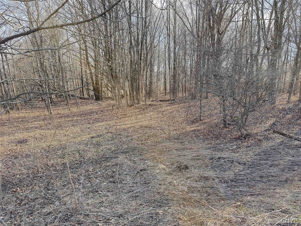 2407 Timmerman Road Jasper, NY 14839 - Photo 24 of 39