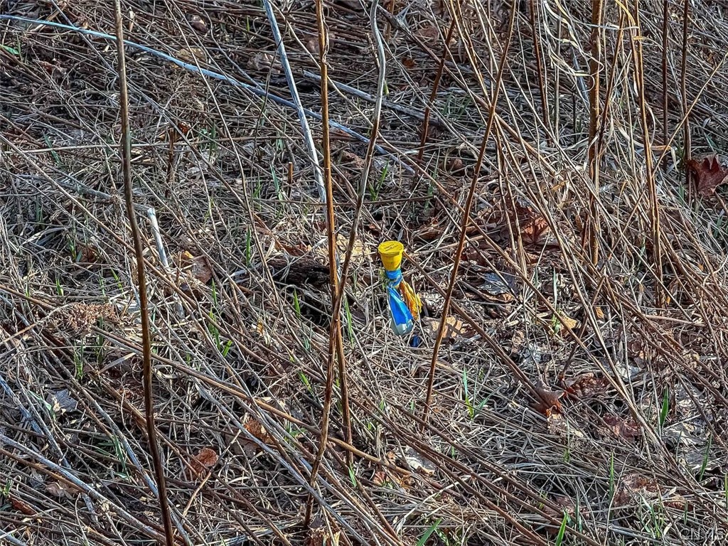 2407 Timmerman Road Jasper, NY 14839 - Photo 25 of 39