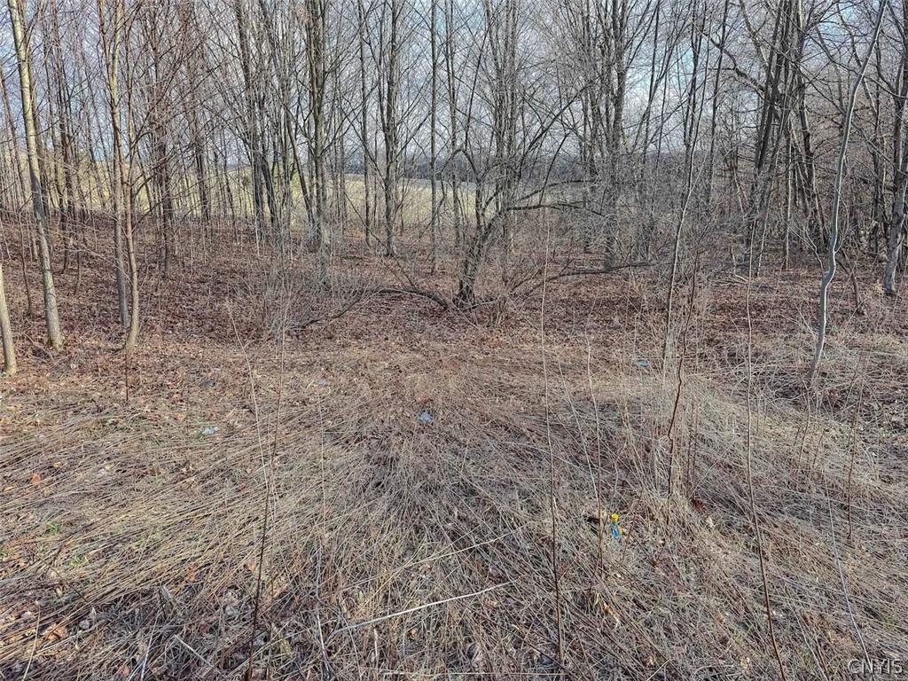 2407 Timmerman Road Jasper, NY 14839 - Photo 26 of 39