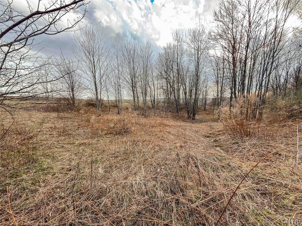 2407 Timmerman Road Jasper, NY 14839 - Photo 28 of 39