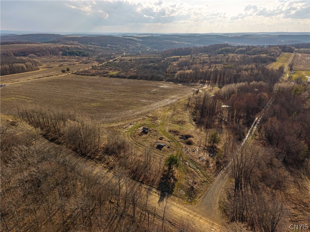 2407 Timmerman Road Jasper, NY 14839 - Photo 30 of 39