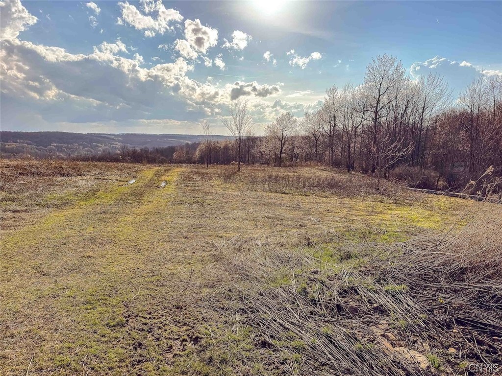 2407 Timmerman Road Jasper, NY 14839 - Photo 3 of 39