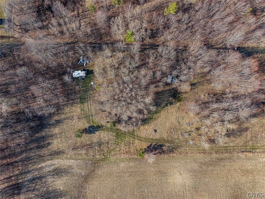 2407 Timmerman Road Jasper, NY 14839 - Photo 33 of 39