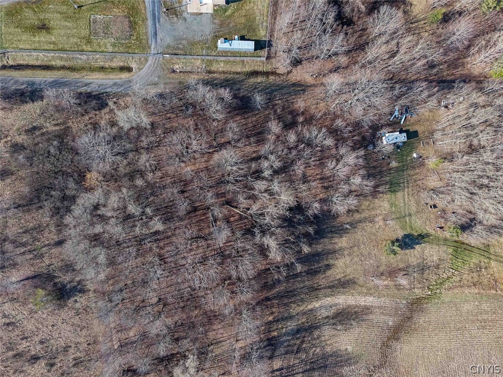 2407 Timmerman Road Jasper, NY 14839 - Photo 34 of 39