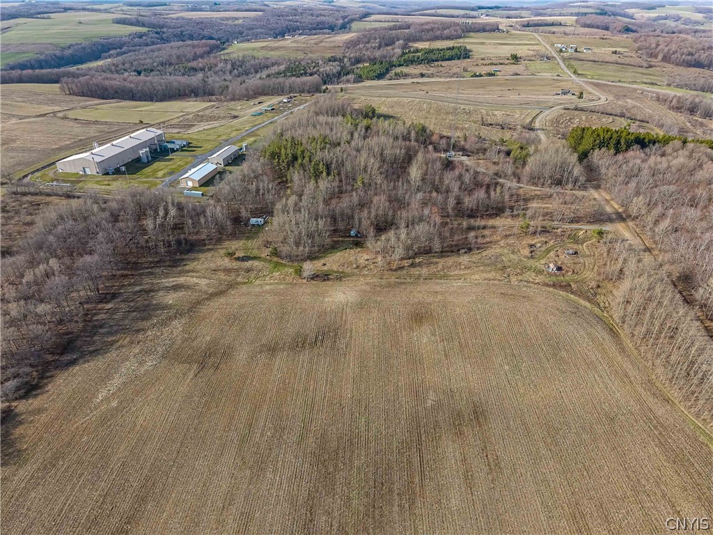 2407 Timmerman Road Jasper, NY 14839 - Photo 37 of 39