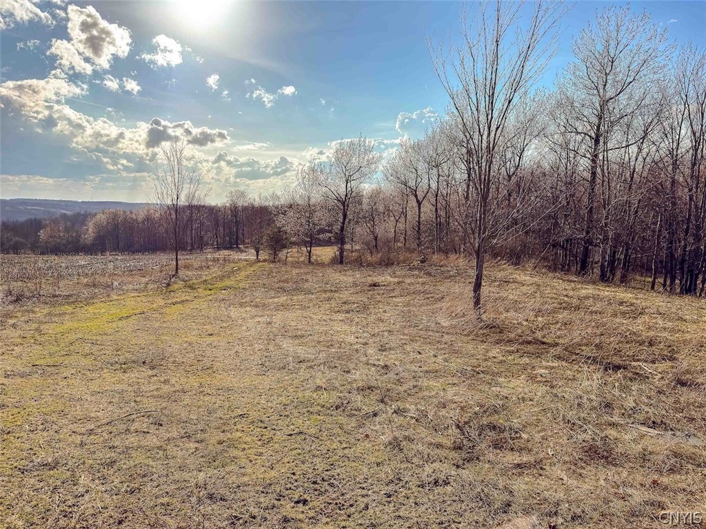 2407 Timmerman Road Jasper, NY 14839 - Photo 4 of 39