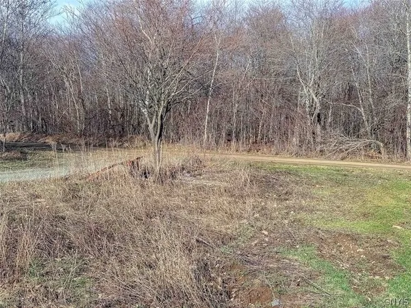 $27,900 | 2407 Timmerman Road, Jasper, NY 14839