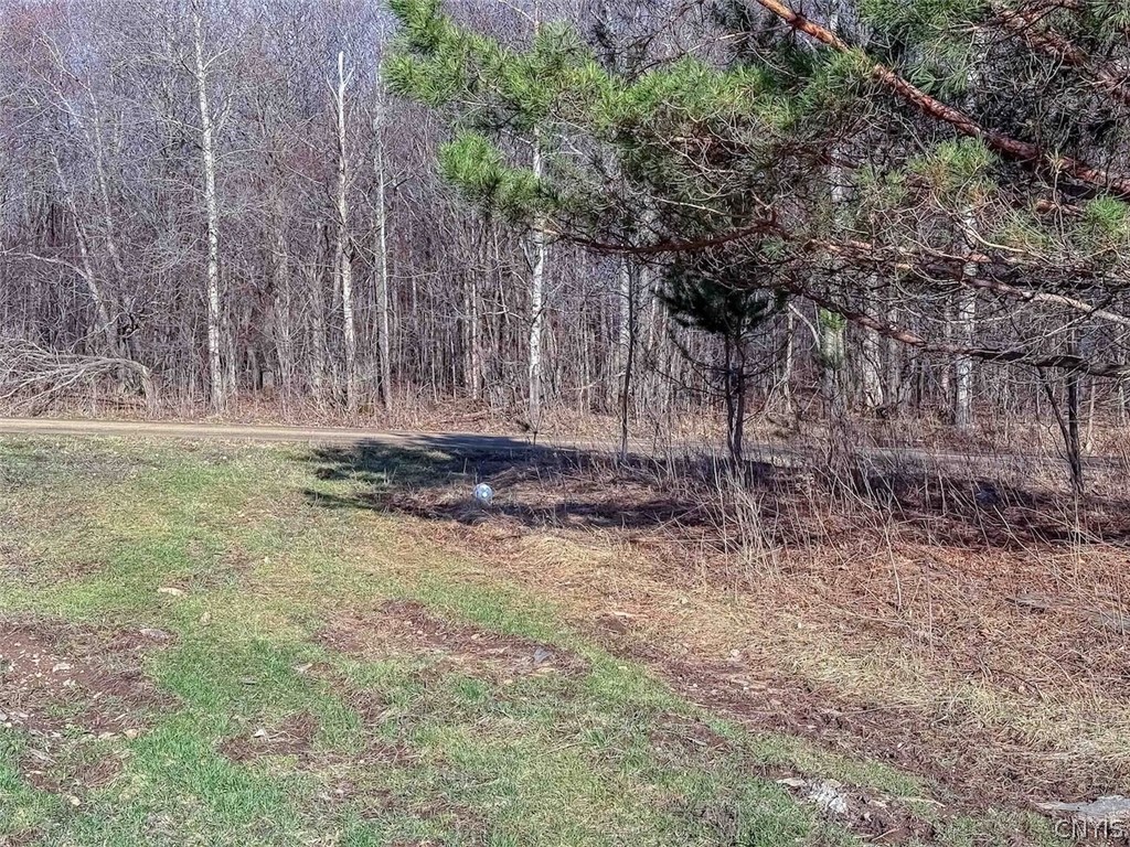 2407 Timmerman Road Jasper, NY 14839 - Photo 6 of 39