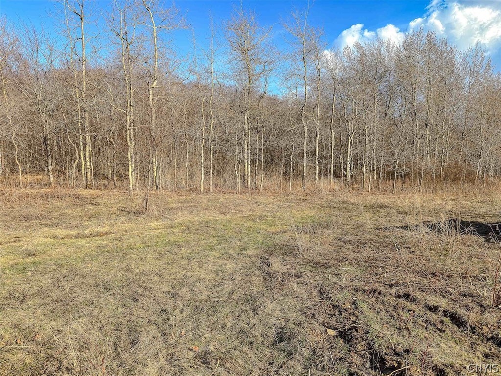 2407 Timmerman Road Jasper, NY 14839 - Photo 7 of 39