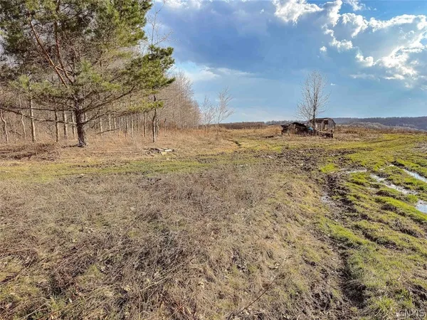 $27,900 | 2407 Timmerman Road, Jasper, NY 14839