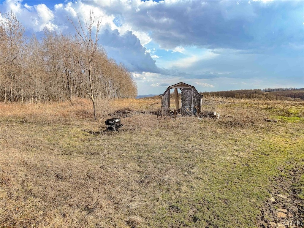 2407 Timmerman Road Jasper, NY 14839 - Photo 9 of 39