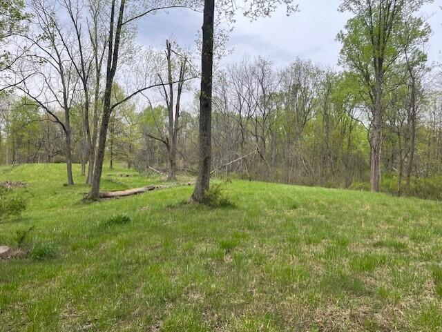 0 Gearing Ridge Road Londonderry, OH 45647 - Photo 8 of 29 thumbnail_IMG_7338