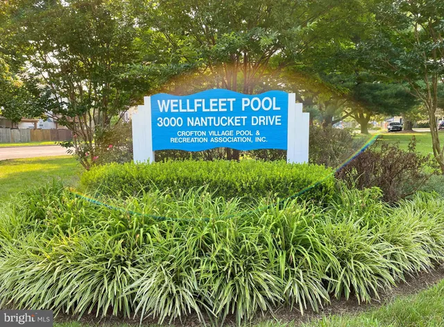 a view of a swimming pool with a yard