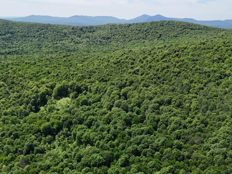 955 Hall Road Lunenburg, VT 05906 - Photo 1 of 16