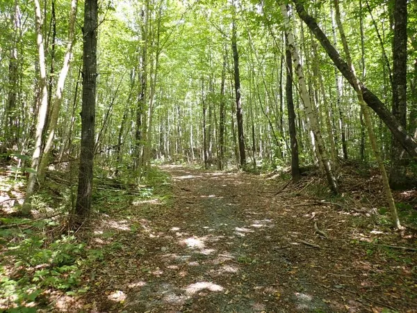 $261,000 | 955 Hall Road, Lunenburg, VT 05906
