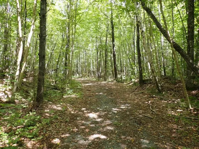 $261,000 | 955 Hall Road, Lunenburg, VT 05906