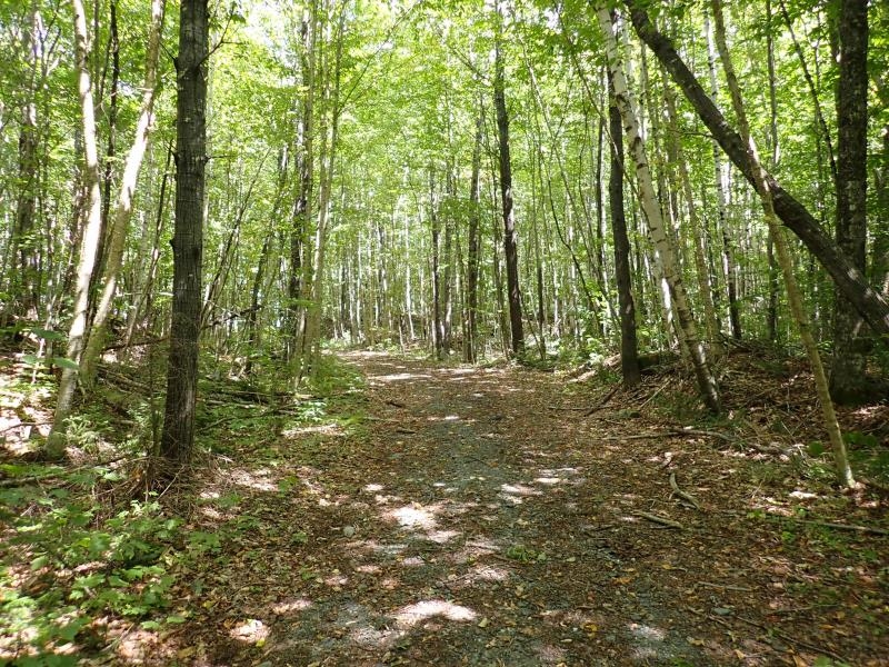 955 Hall Road Lunenburg, VT 05906 - Photo 11 of 16