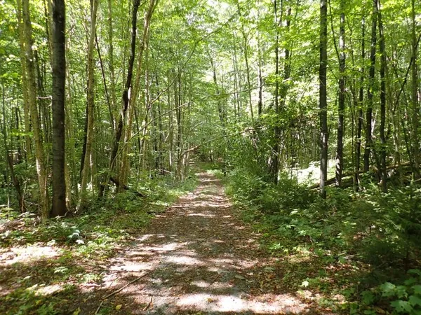 $261,000 | 955 Hall Road, Lunenburg, VT 05906