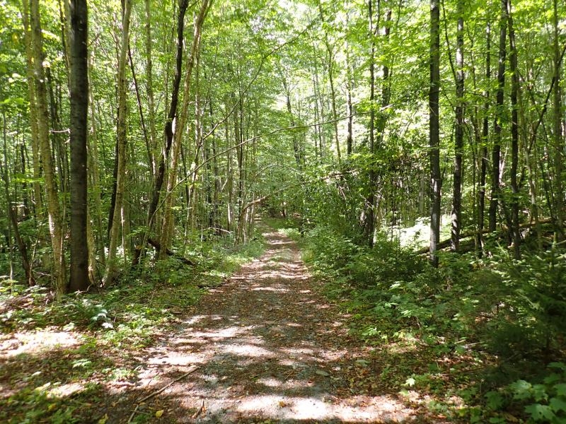 955 Hall Road Lunenburg, VT 05906 - Photo 12 of 16