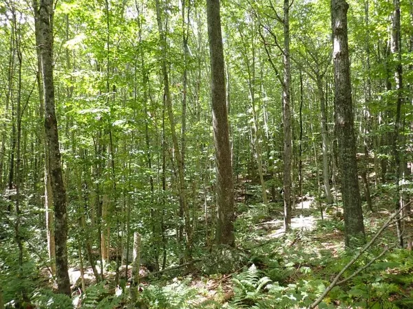 $261,000 | 955 Hall Road, Lunenburg, VT 05906