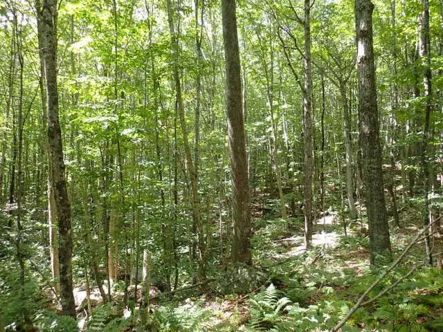 $261,000 | 955 Hall Road, Lunenburg, VT 05906