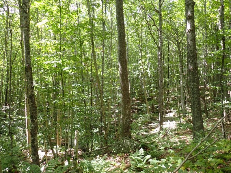 955 Hall Road Lunenburg, VT 05906 - Photo 13 of 16