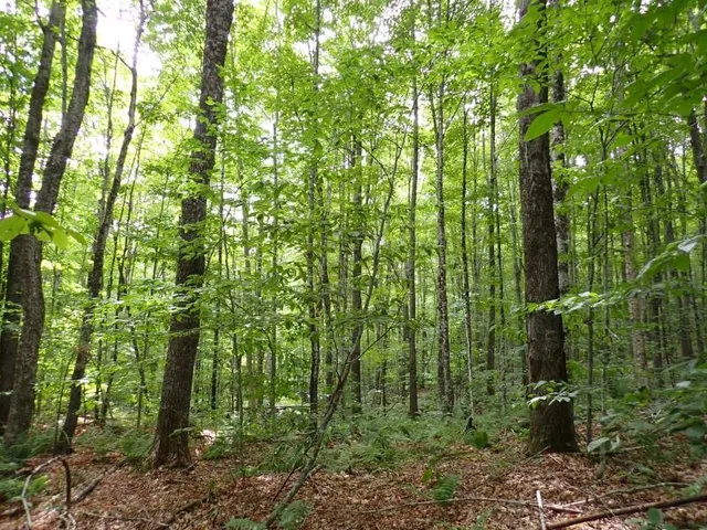 $261,000 | 955 Hall Road, Lunenburg, VT 05906