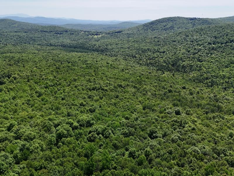 955 Hall Road Lunenburg, VT 05906 - Photo 3 of 16