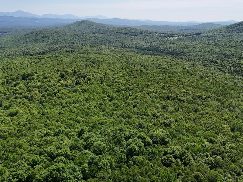 955 Hall Road Lunenburg, VT 05906 - Photo 4 of 16