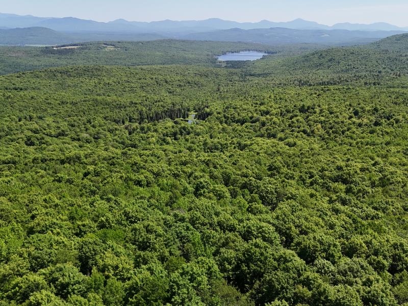 955 Hall Road Lunenburg, VT 05906 - Photo 5 of 16