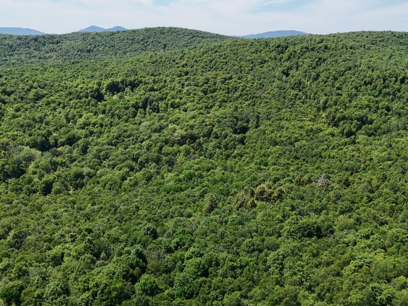 955 Hall Road Lunenburg, VT 05906 - Photo 7 of 16