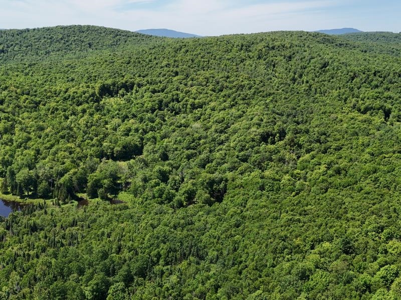 955 Hall Road Lunenburg, VT 05906 - Photo 8 of 16