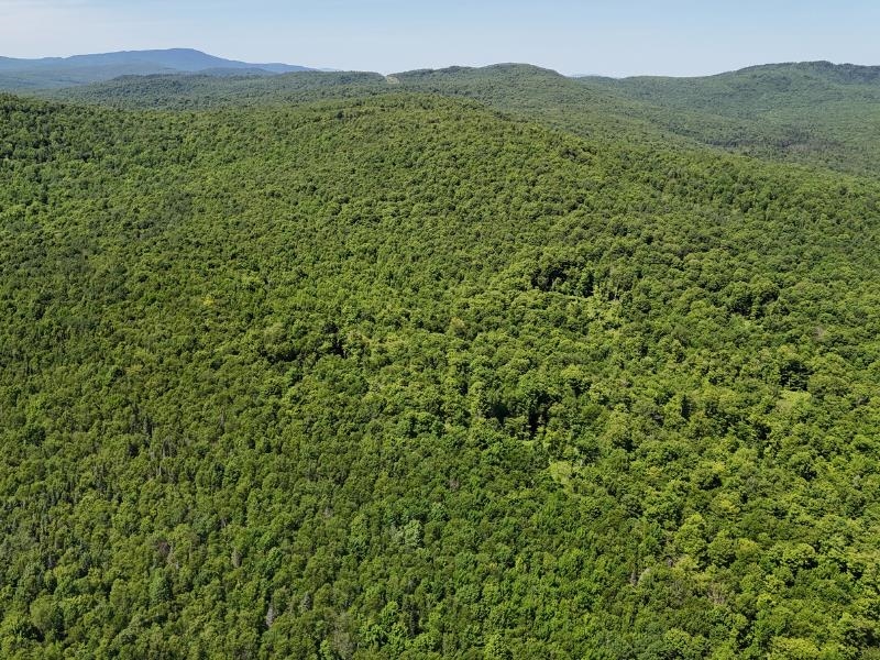 955 Hall Road Lunenburg, VT 05906 - Photo 9 of 16