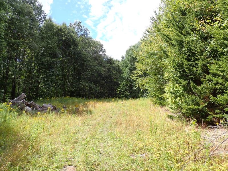 955 Hall Road Lunenburg, VT 05906 - Photo 10 of 16