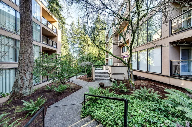 a garden with trees in front of it