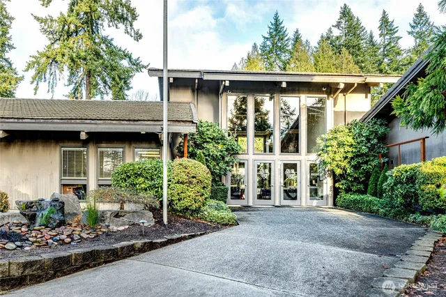 a view of a park with large trees