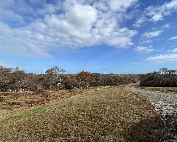 37 Chuck Hollow Road Nantucket, MA 02554 - Photo 3 of 3 Gallery Image 3