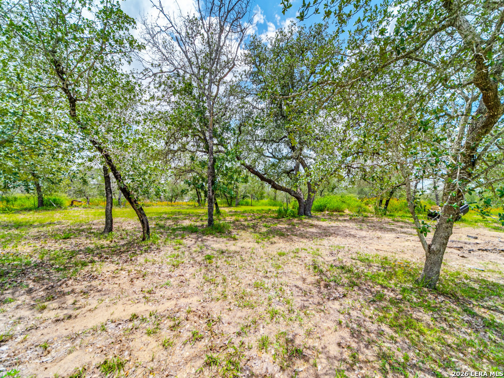 335 Spur Ridge San Antonio, TX 78264 - Photo 25 of 28