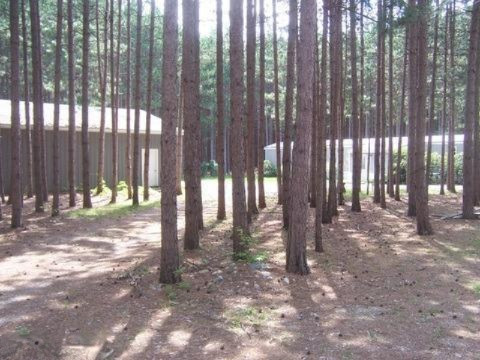 10611 West Colby Road Gowen, MI 49326 - Photo 3 of 12 Additional Photo