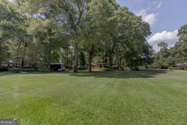 a view of a tree in a park
