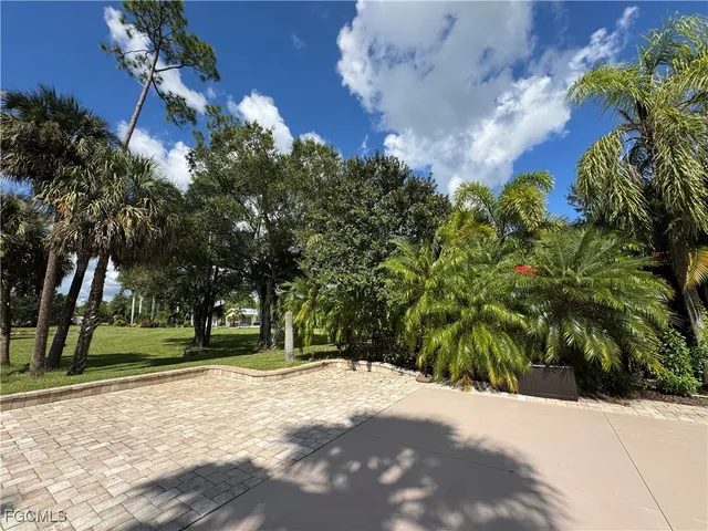 a view of a yard with plants and trees