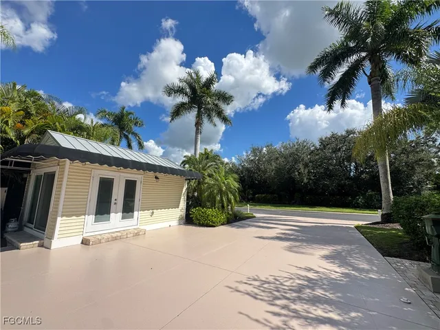 a view of a yard with a plant