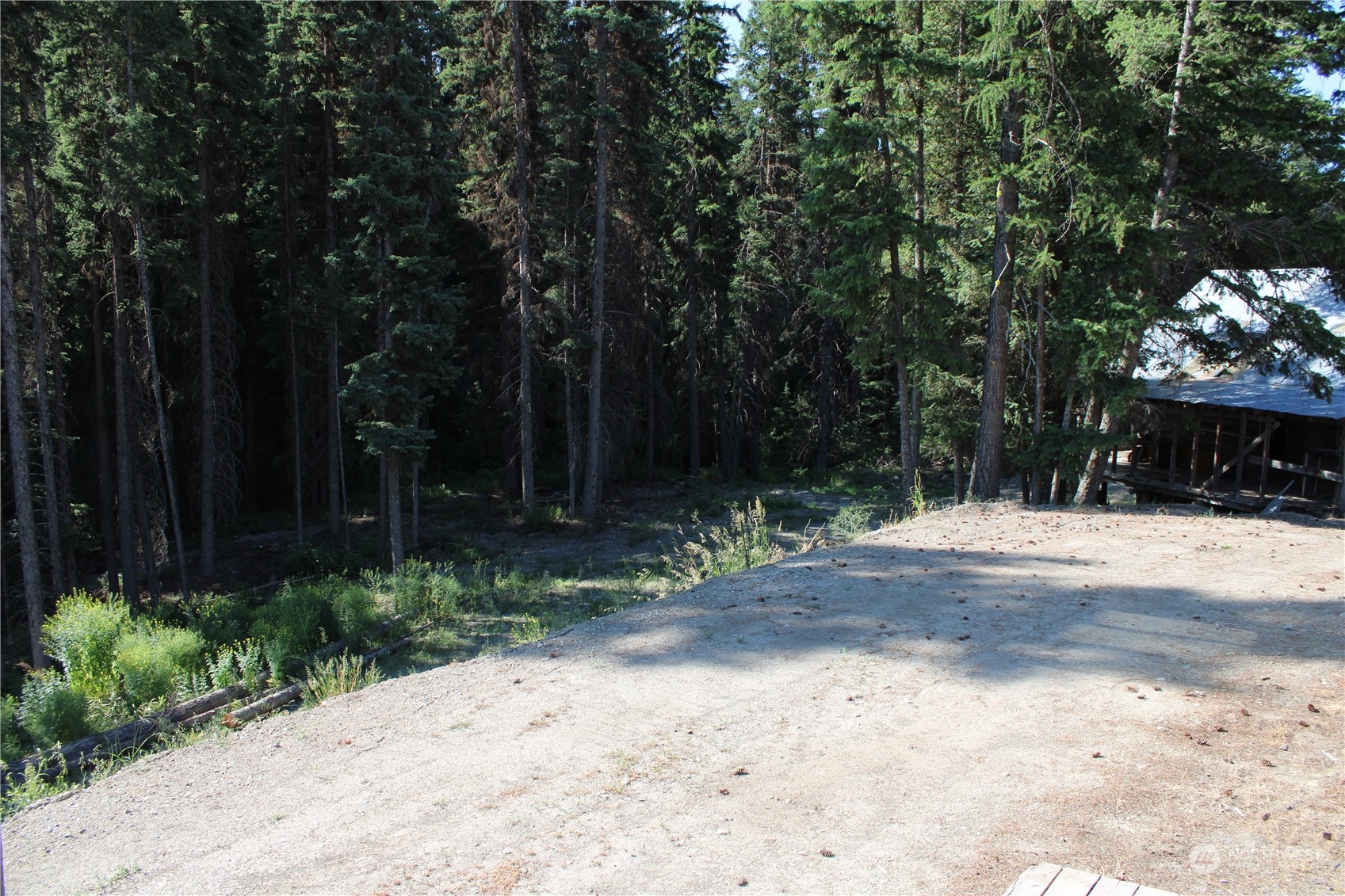 110 Bartroff Road Oroville, WA 98844 - Photo 25 of 38 a view of a yard with plants and trees