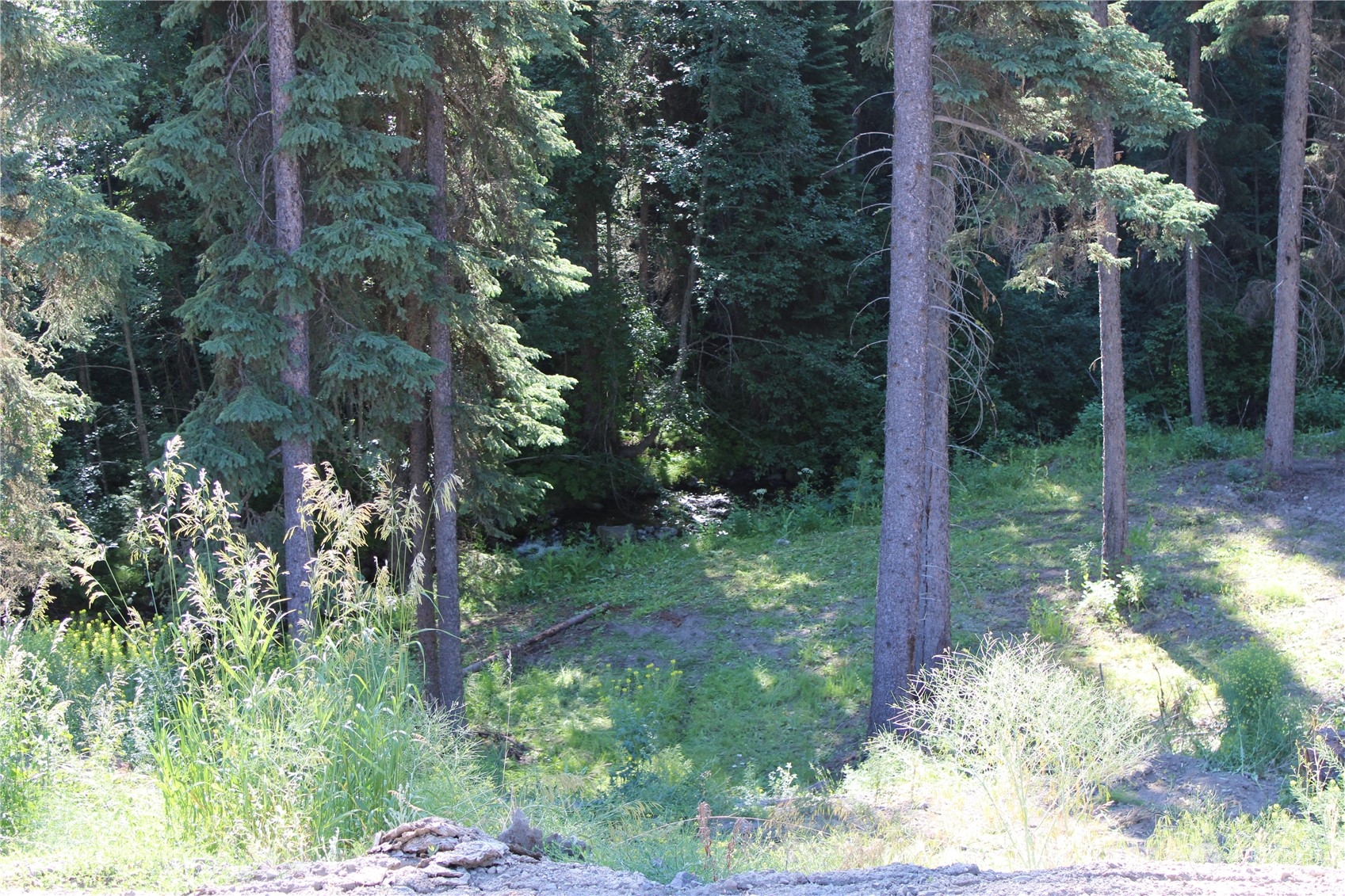 110 Bartroff Road Oroville, WA 98844 - Photo 26 of 38 a view of a yard with potted plants and large trees