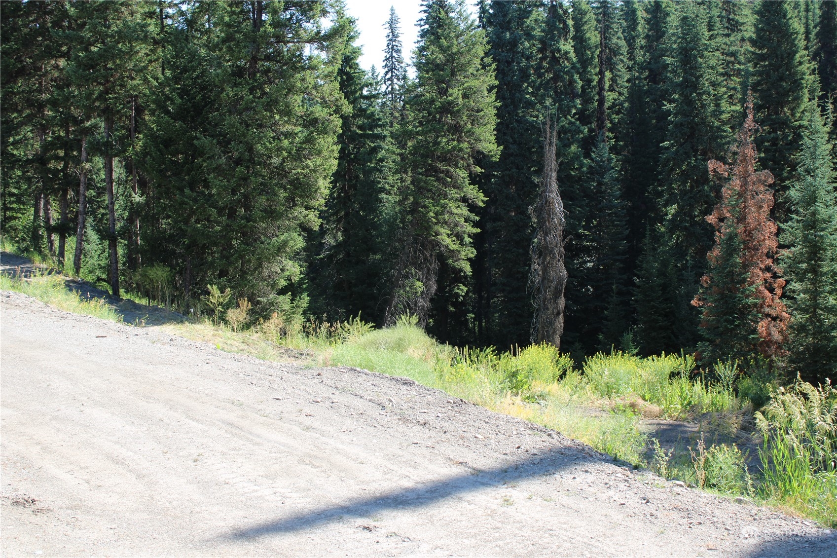 110 Bartroff Road Oroville, WA 98844 - Photo 27 of 38 a view of a backyard of a house