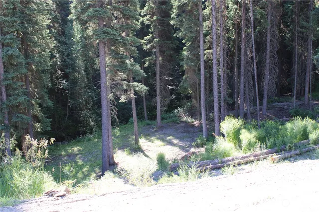 a view of a backyard of the house