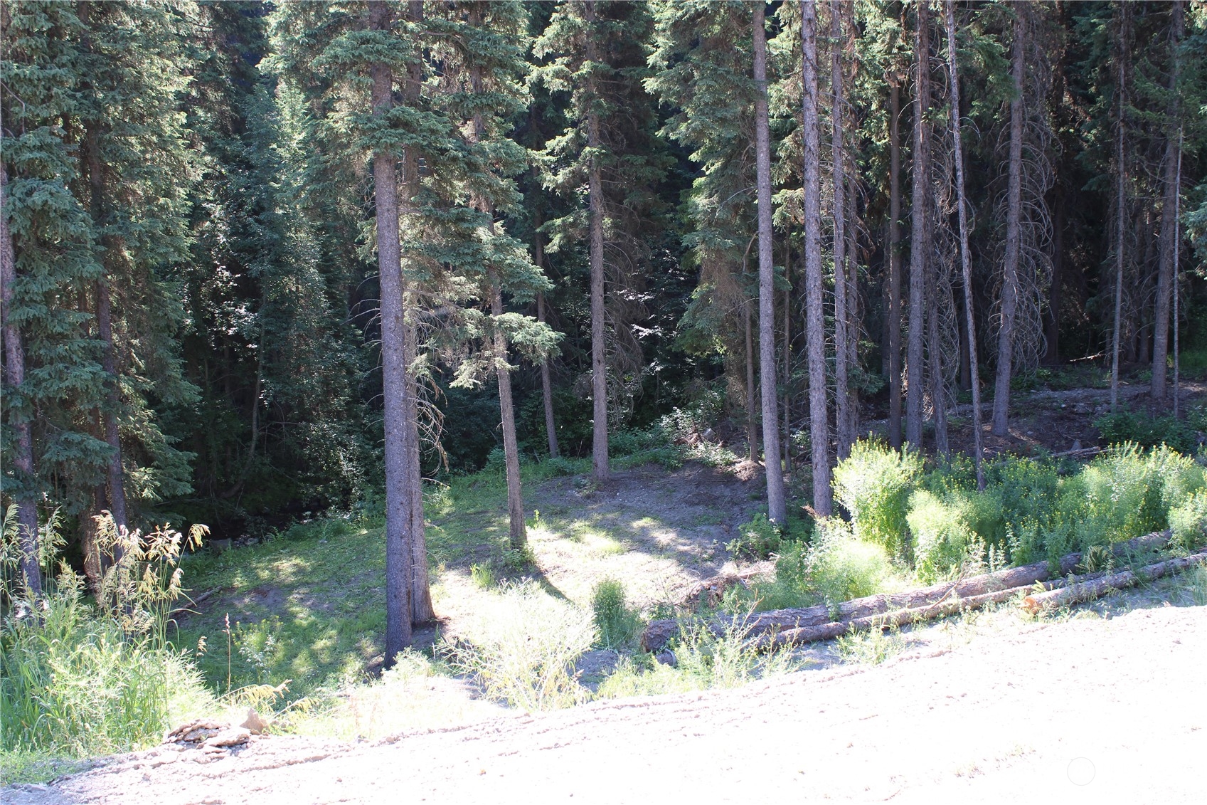 110 Bartroff Road Oroville, WA 98844 - Photo 28 of 38 a backyard of a house with lots of green space