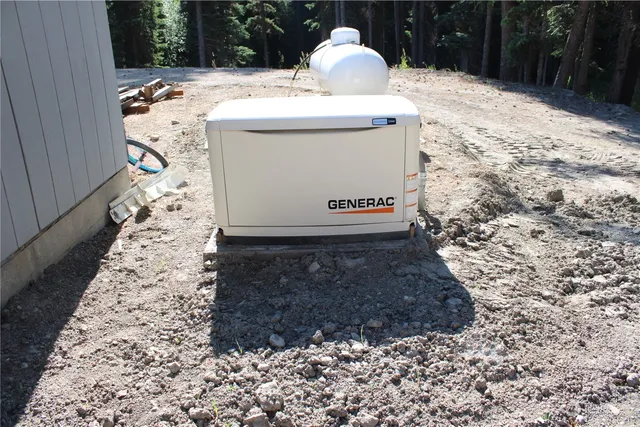 a plant view in yard